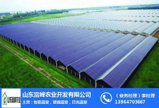洛陽(yáng)文洛式溫室 富峰農(nóng)業(yè) 文洛式溫室結(jié)構(gòu)